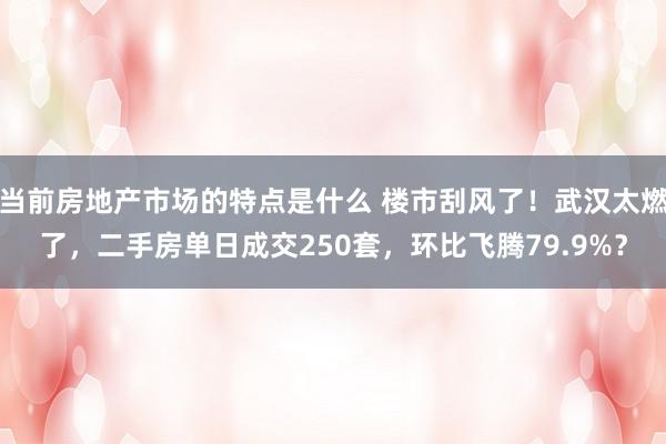 当前房地产市场的特点是什么 楼市刮风了！武汉太燃了，二手房单日成交250套，环比飞腾79.9%？