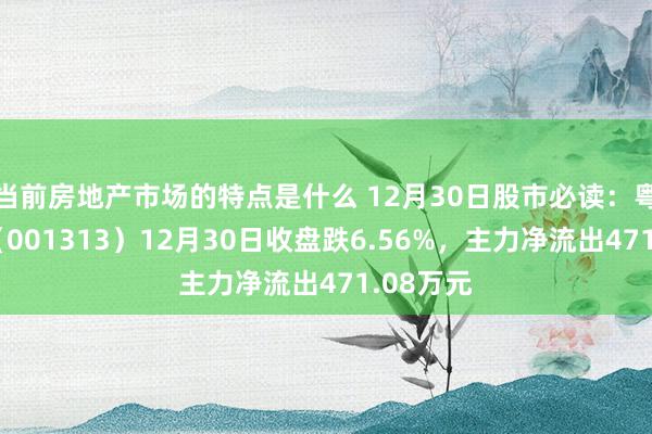 当前房地产市场的特点是什么 12月30日股市必读：粤海饲料（001313）12月30日收盘跌6.56%，主力净流出471.08万元