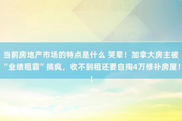 当前房地产市场的特点是什么 哭晕！加拿大房主被“业绩租霸”搞疯，收不到租还要自掏4万修补房屋！