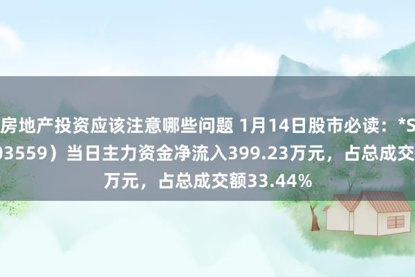 房地产投资应该注意哪些问题 1月14日股市必读：*ST通脉（603559）当日主力资金净流入399.23万元，占总成交额33.44%