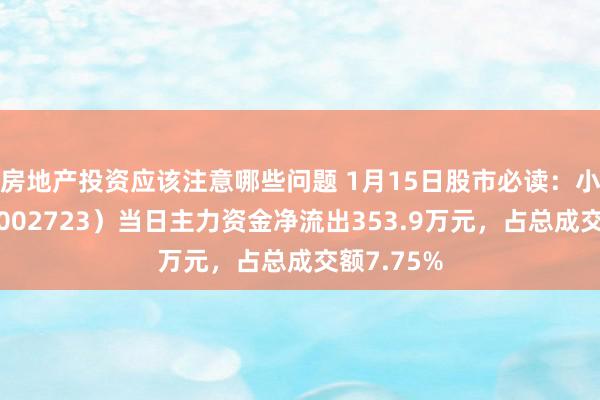 房地产投资应该注意哪些问题 1月15日股市必读：小崧股份（002723）当日主力资金净流出353.9万元，占总成交额7.75%