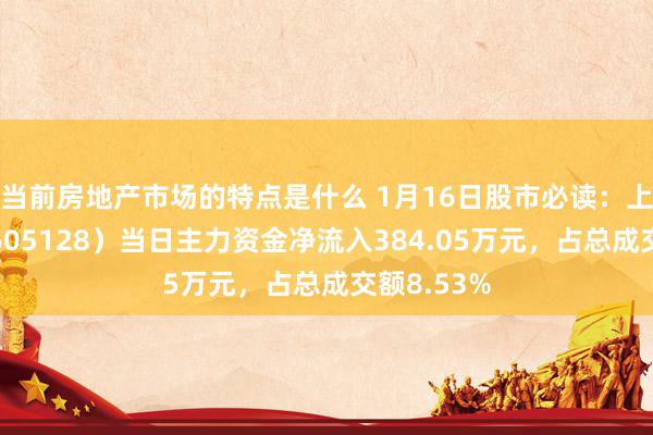 当前房地产市场的特点是什么 1月16日股市必读：上海沿浦（605128）当日主力资金净流入384.05万元，占总成交额8.53%