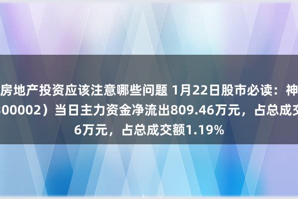 房地产投资应该注意哪些问题 1月22日股市必读：神州泰岳（300002）当日主力资金净流出809.46万元，占总成交额1.19%