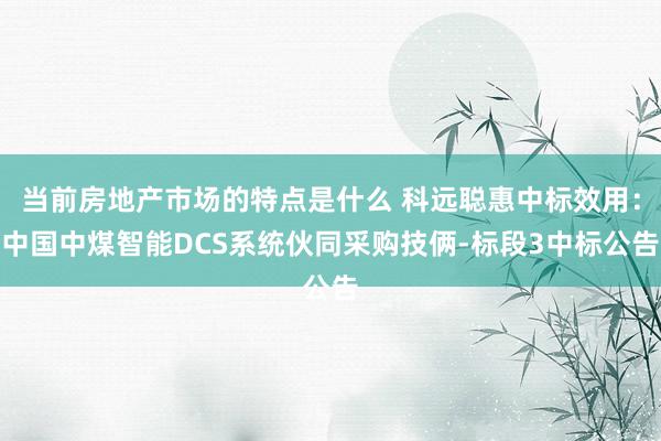 当前房地产市场的特点是什么 科远聪惠中标效用：中国中煤智能DCS系统伙同采购技俩-标段3中标公告