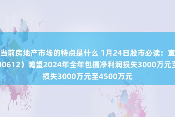 当前房地产市场的特点是什么 1月24日股市必读：宣亚国外（300612）瞻望2024年全年包摄净利润损失3000万元至4500万元