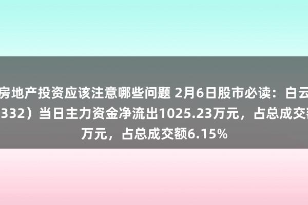 房地产投资应该注意哪些问题 2月6日股市必读：白云山（600332）当日主力资金净流出1025.23万元，占总成交额6.15%