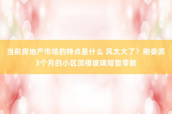 当前房地产市场的特点是什么 风太大了？刚委派3个月的小区顶楼玻璃短暂零散