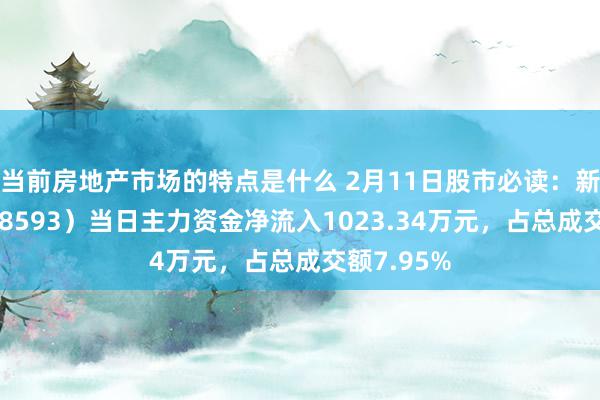 当前房地产市场的特点是什么 2月11日股市必读：新相微（688593）当日主力资金净流入1023.34万元，占总成交额7.95%