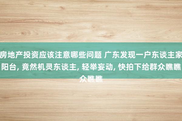 房地产投资应该注意哪些问题 广东发现一户东谈主家阳台, 竟然机灵东谈主, 轻举妄动, 快拍下给群众瞧瞧